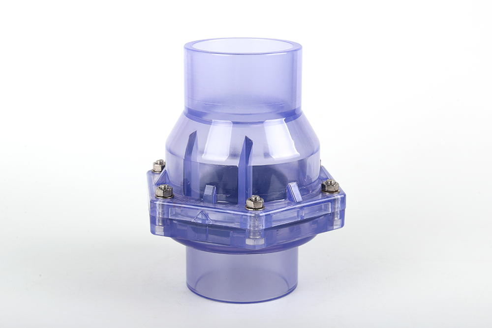 佛山透明翻板式止回阀